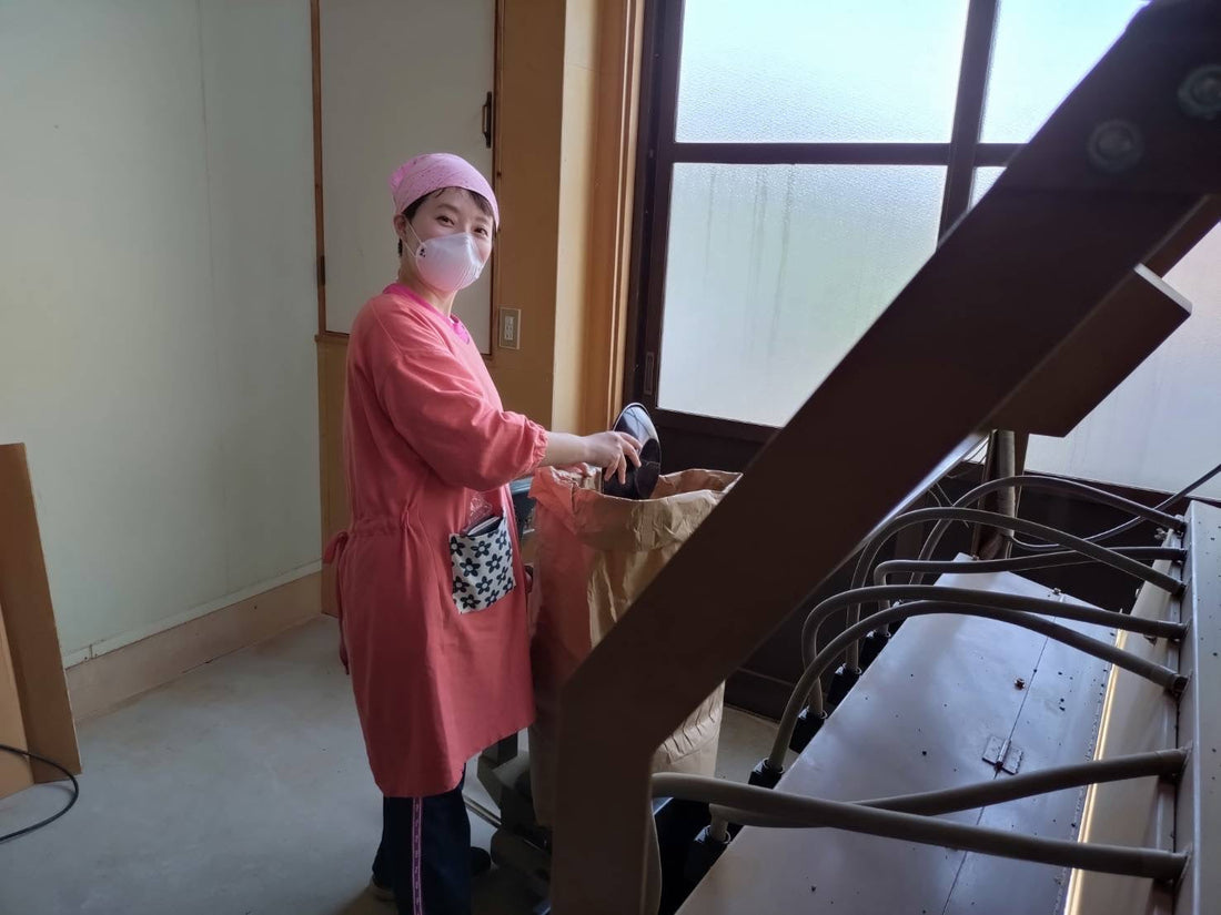 2026『嬉野新茶』　ただいま仕上げ中です！！！販売までもう少し！